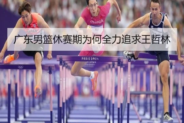 广东男篮休赛期为何全力追求王哲林